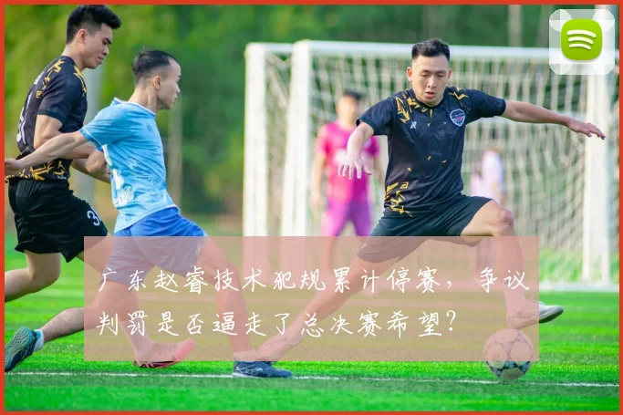 广东赵睿技术犯规累计停赛，争议判罚是否逼走了总决赛希望？